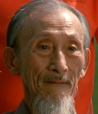 Zhijun Cong Net Worth
