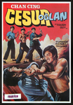 Turkish movie poster (the title translates as 