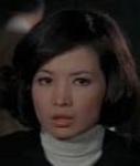 Ching Li<br>Intrigue in Nylons (1972) 
