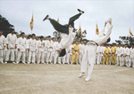Yuen Wah as a stand-in for Bruce Lee who never did such feats