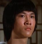 Chin Siu Ho as Hu Fei, aka Fei Hu (Flying Fox)