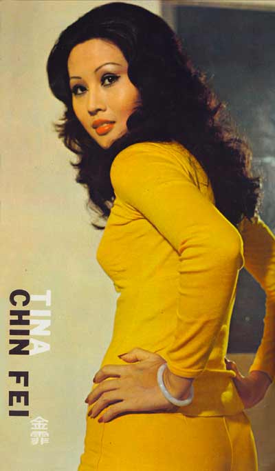 Tina Chin-Fei Net Worth