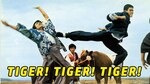 wrong Amazon Stream motive, from: "Tiger of Northland" (HK 1976)