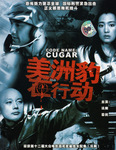 Chinese dvd cover