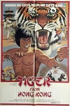 US movie poster for THE CHINESE DRAGON (displaying some painted little scenes taken from stills from FIST TO FIST, THE REVENGE DRAGON and BLACK GUIDE)
