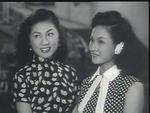 Lam Bik and Lee Heung Ying<br>Grand View Garden (1954) 