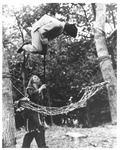 Korean production still