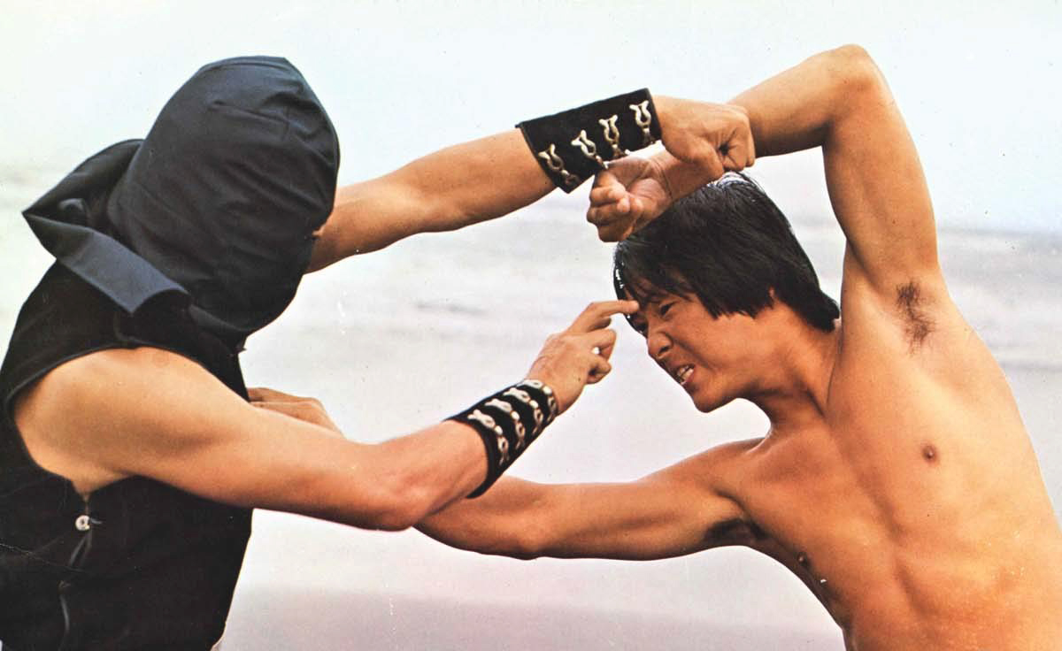 Tiger & Crane Fists (1976)
