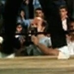 Ringside photographer