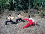 Hao Zhihua (in red), Lu Yan and Hui Xuna (both in black) in a scenario of sabre vs two spears.