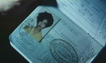 False Passport
